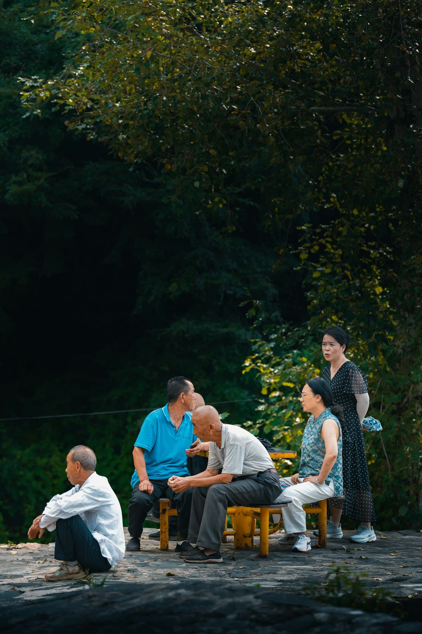 A group of adults sitting and talking together outdoors near trees